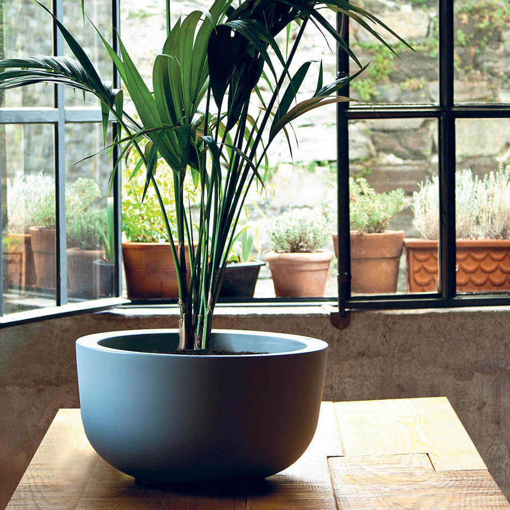 Vaso per piante e fiori Comune in terracotta terracotta H 22 cm Ø